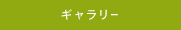 ギャラリー